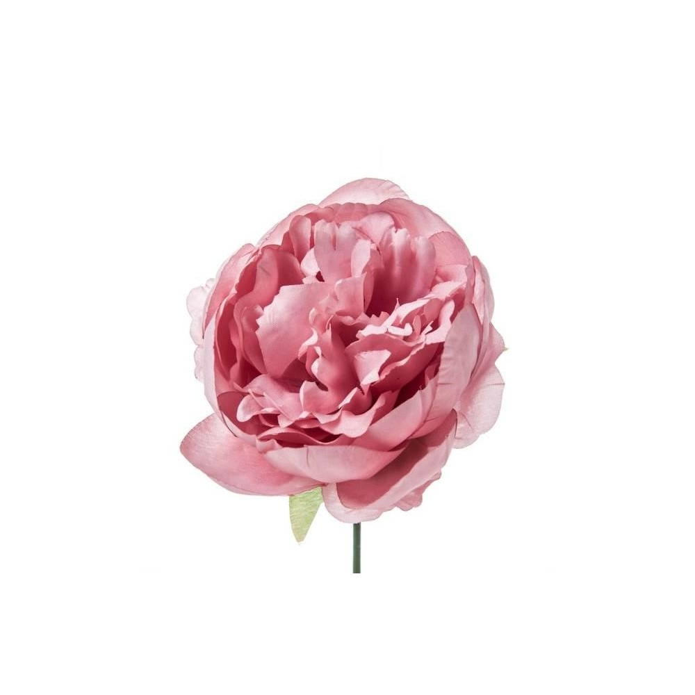 PICK PEONIA COLORE ROSA CIPRIA H19 D11